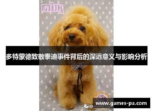 多特蒙德致敬泰迪事件背后的深远意义与影响分析