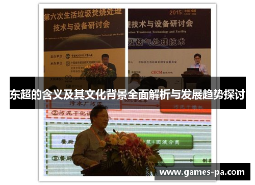 东超的含义及其文化背景全面解析与发展趋势探讨