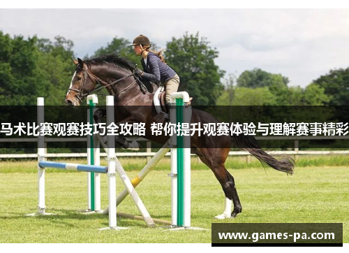 马术比赛观赛技巧全攻略 帮你提升观赛体验与理解赛事精彩