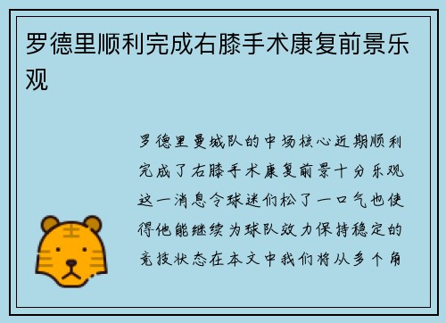 罗德里顺利完成右膝手术康复前景乐观 罗德里顺利完成右膝手术康复前景乐观